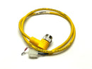 Turck WSM 61-1M/CS11512 Cordset 1m Length U-09687 - Maverick Industrial Sales