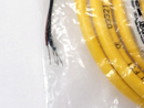 Turck PKW 4M-2 Picofast M8 Female Right-angle 4-Pin 2m Cordset U2512-33 - Maverick Industrial Sales