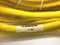 Turck CKM 64-078-10 Powerfast Cordset U2-04290 - Maverick Industrial Sales