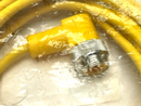 Turck WSM 40-6M Single Ended Cordset Right-Angle Connector 6m Length - Maverick Industrial Sales