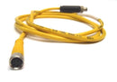 Turck PKG 4M-6 PicoFast Cable Cordset U0058-11 MINIMUM 41" INCHES - Maverick Industrial Sales