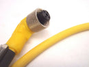 Lumberg Automation RSWT 4-RKWT 4-602/1M Connector Cable RSWT 4-RKWT 4-S798/1M - Maverick Industrial Sales