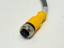 Turck RKC 8T-4 Eurofast Cordset M12 Female 8-Pin - Flying Leads 80" U5311-64 - Maverick Industrial Sales