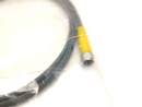 Turck PKG 3M-1-PSG 3M/S90 Actuator & Sensor Cordset M8 3-Pin M To F 1m U2516-32 - Maverick Industrial Sales