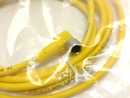 Turck PKW 3M-2-PSW 3M Actuator & Sensor Cable M8 3-Pin Right Angle 2m U99-10942 - Maverick Industrial Sales