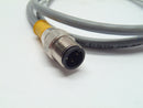 Turck RS 4.4T-1-RS 4.4T Eurofast Cable Assembly U2444-1 - Maverick Industrial Sales