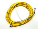 Turck PSG 4M-4 Pico Fast Cordset U99-11357 - Maverick Industrial Sales