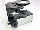 Olympus BX40 Microscope Body w/ Condenser Holder - Maverick Industrial Sales