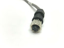 RFID 730-0033-8IN M12 Cordset for R3-2 Smart Antenna - Maverick Industrial Sales
