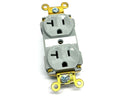 Pass & Seymour PT5362-AGRY PlugTail Spec Grade Receptacles - Maverick Industrial Sales