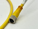 Allen Bradley 889P-F3UB-10 Ser A Pico Cable 3-Pin M/F 65" Length - Maverick Industrial Sales