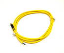 Lumberg Automation RKMV 3-593/2M Single Ended Cordset M8 Female To Leads 2m - Maverick Industrial Sales