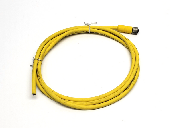 Lumberg Automation RKT-4-637/2M Female Single Ended Cordset 600002366 - Maverick Industrial Sales