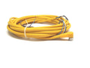 Balluff BCC059P Right Angle M8 Female 4-Pin Connector Cable - Maverick Industrial Sales